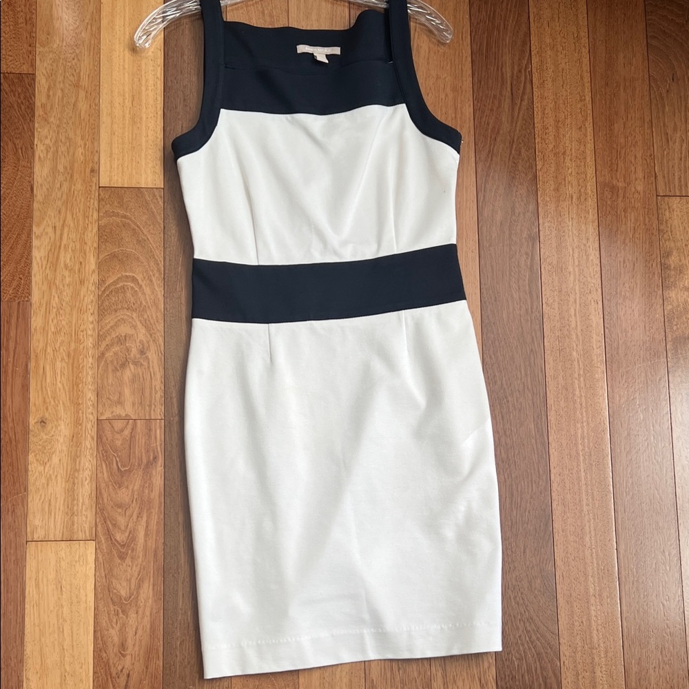 Banana Republic Black and White Mini Dress